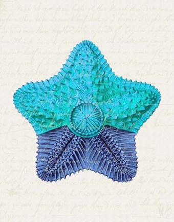 Framed Starfish in Shades of Blue c Print