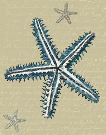 Framed Blue Starfish on Taupe a Print