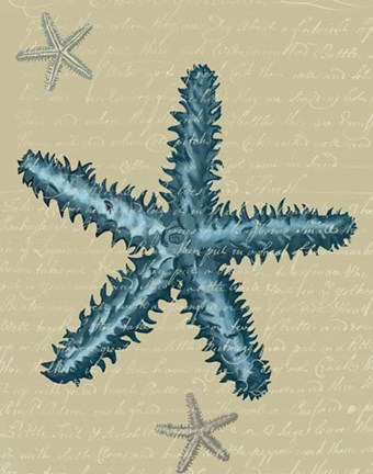 Framed Blue Starfish on Taupe b Print