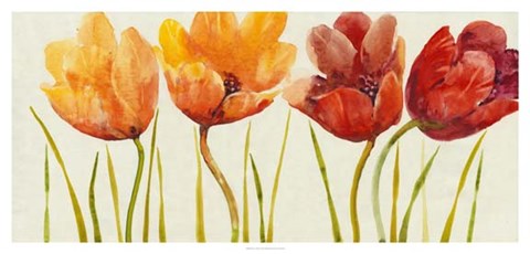 Framed Row of Tulips I Print