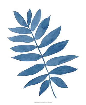 Framed Indigo Botanica V Print