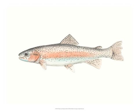 Framed Watercolor Deep Sea Fish II Print