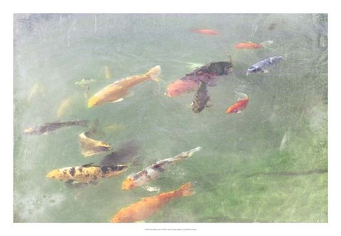Framed Koi Reflections I Print