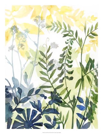 Framed Layered Blooms II Print