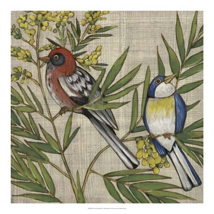 Framed Hanover Birds II Print