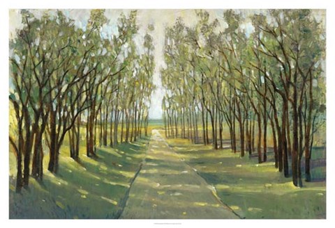 Framed Forest Path Print