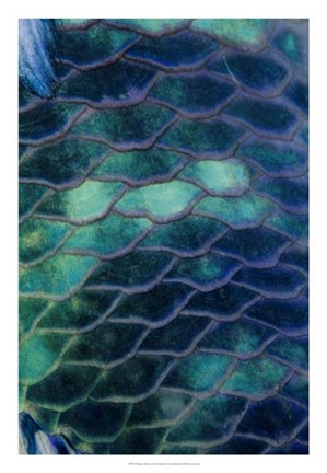Framed Ripples - Malaysia Print