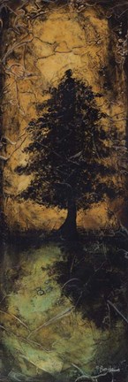 Framed Reflections and Shadows I Print