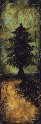 Framed Reflections and Shadows II Print