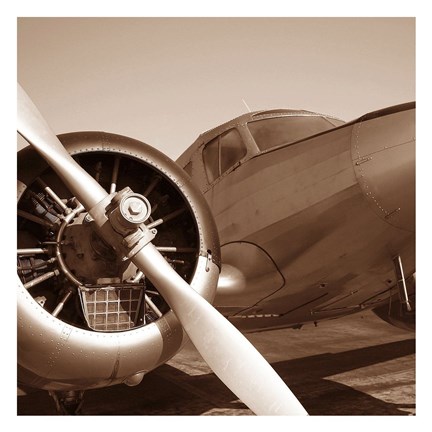 Framed Aviation 3 Print