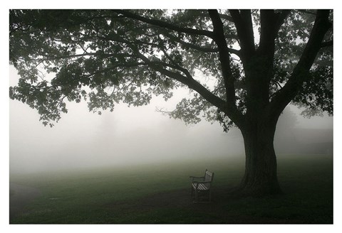 Framed Misty Bench Print