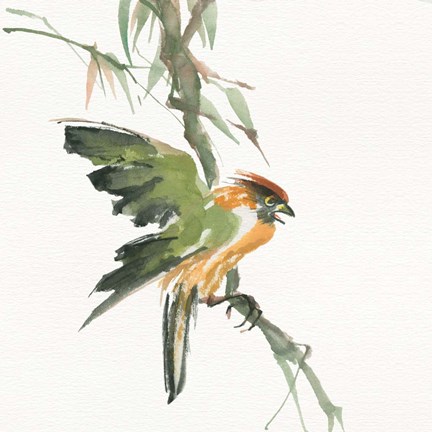 Framed Formosan Firecrest Print