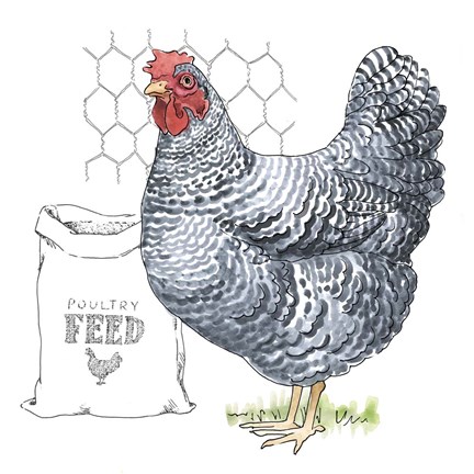 Framed Fun at the Coop III v2 Print