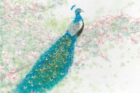 Framed Spring Peacock I Pink Flowers Print
