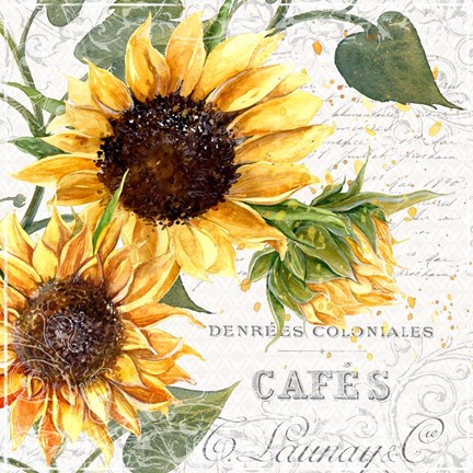 Framed Summertime Sunflowers II Print
