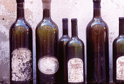 Framed Fine Wine III Print