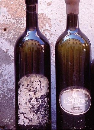 Framed Fine Wine VI Print