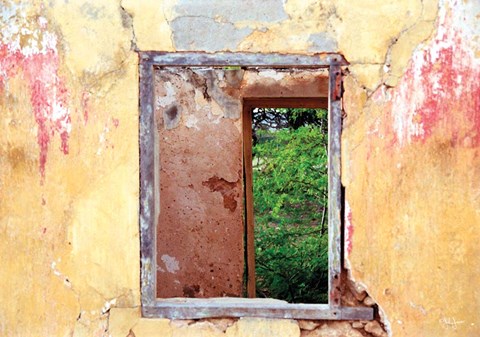 Framed Doors in Window Print