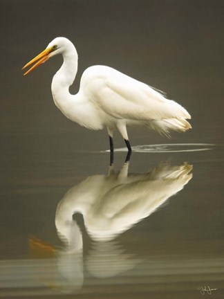 Framed Reflection Print