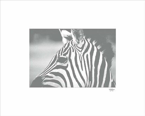 Framed Natural Harmony Print