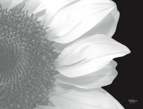 Framed Beautiful Entrance Print