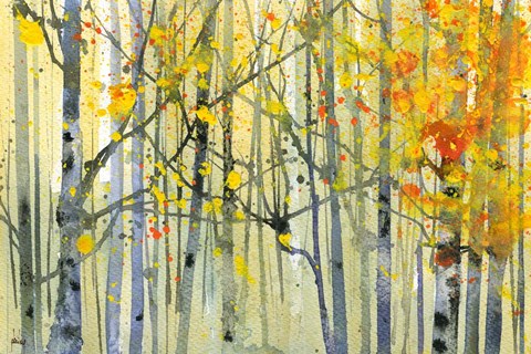 Framed Autumn Birches Print