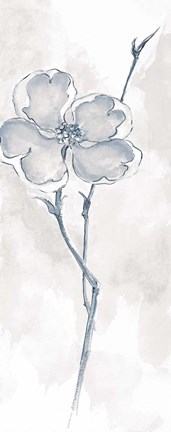 Framed Solitary Dogwood II Gray Print