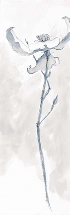 Framed Solitary Dogwood IV Gray Print