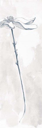 Framed Solitary Dogwood V Gray Print