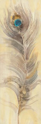 Framed Blue Eyed Feathers II Print