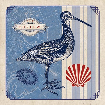 Framed Sea Bird III Print