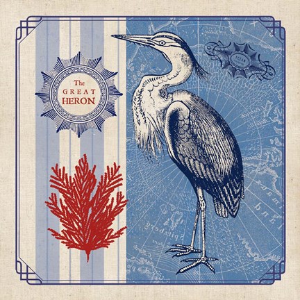 Framed Sea Bird IV Print