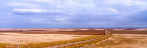 Framed Endless Wheat Fields, Montana Print