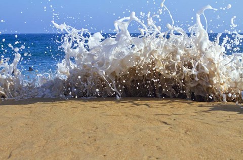 Framed Oahu Beach, Hawaii III Print