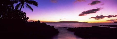 Framed Palm Trees at Dusk, Maui, Hawaii, USA Print