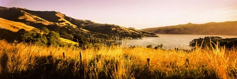 Framed Akaroa Harbour, Banks Peninsula, New Zealand Print