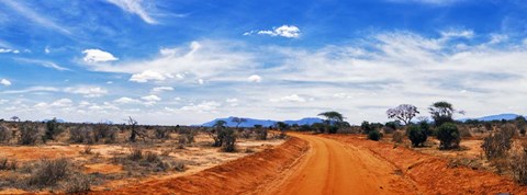 Framed Dirt Road in Tsavo East National Park, Kenya Print