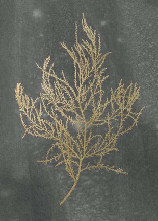Framed Gold Foil Algae III on Black - Metallic Foil Print