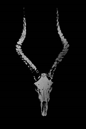 Framed Silver Foil Rustic Mount II on Black - Metallic Foil Print