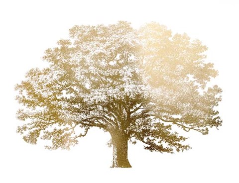 Framed Gold Foil Elephant Tree - Metallic Foil Print
