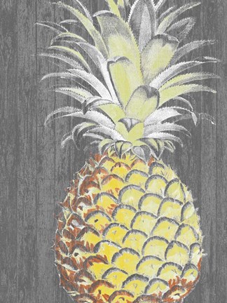 Framed Vibrant Pineapple Splendor II Print