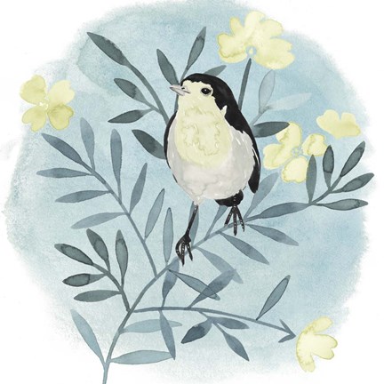 Framed Feathered Friends II Print