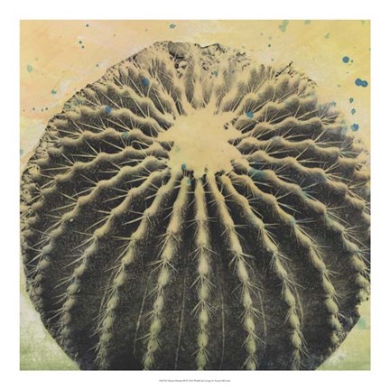 Framed Desert Dreams III Print