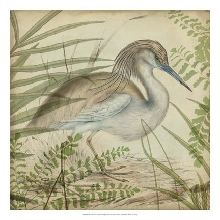 Framed Heron &amp; Ferns II Print
