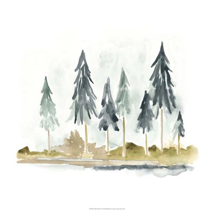 Framed Lake Shore II Print