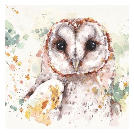 Framed Australian Barn Owl Print