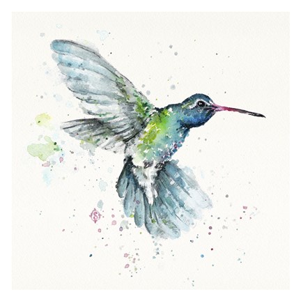 Framed Hummingbird Flurry Print