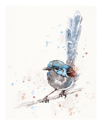 Framed Mischief in the Making (Variegated Fairy Wren) Print