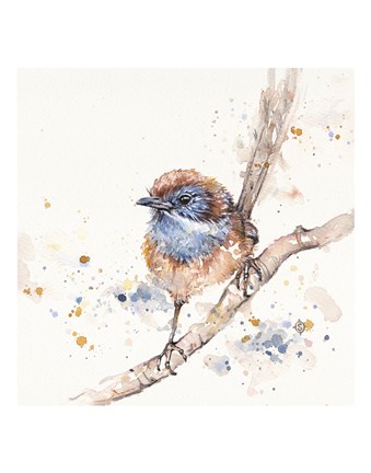 Framed Lickity Split Print