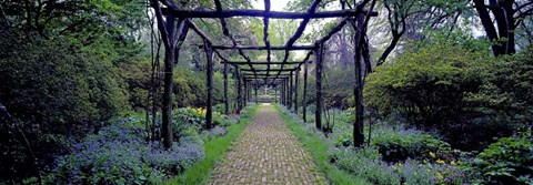 Framed Garden path, Old Westbury Gardens, Long Island Print
